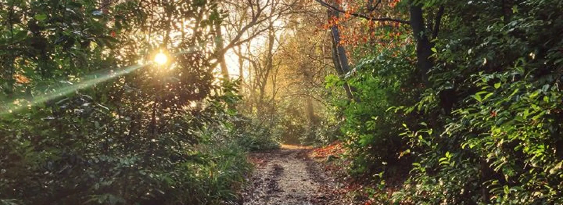 Bruce B. Purdy Nature Preserve